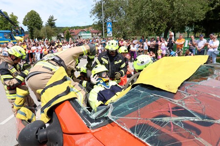 DAN ZAŠČITE IN REŠEVANJA 39 FOTO LJUBO VUKELIČ